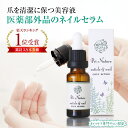 ＼10%OFF★スーパーSALE／医薬部外品 ネイルケアセラム 爪美容液 清潔液 爪の育成 ネイルケア専門サロン開発 ハイポニキウム 二枚爪 18ml 使い方説明書 ネイルセラム ティーツリー さっぱり使用感 ジェルネイルのダメージケア アンティセプト フェアウェル プリナチュール