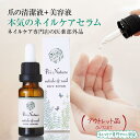 【アウトレット品】ネイルケアセラム 医薬部外品 旧型番 旧ロット 在庫処分品 訳あり 意味あり品 爪清潔液 爪美容液 通常価格2,980円 数量限定 箱汚れ 箱潰れ 箱破損 新品未使用品 美容液 清浄液 ネイルケア専門店開発 18ml ネイルセラム