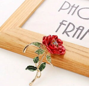 ��ցE�Ԃ��K�N�̃u���[�` ���b�h���[�Y �K�N ��̓��M�t�g 1000�|�L �p�[�e�B �C�x���g �����̂������ ������ ���f�B�[�X�M�t�g ���C���X�g���A�N�Z�T���[ ���Ă΂� ���w�� ���Ǝ� 1000�~��