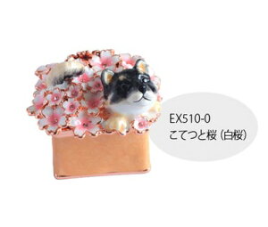 Č̃WG[{bNX(ӂƔ) hbO   ΂ Δ sBA[X PIEARTH 蕨 j uC_Mtg  Ď җ NX}XMtg