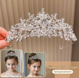 2FtFA[eBA ԉ EFfBO J[hX uC_Zbg  uC_ R[eBA  Be@tHgEGfBO OB I @RXv@v