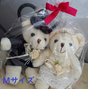 VN}̃EGJxA(MTCY) F BEAR  ʂ EFfBOh[ EFfBOMtg j uC_G I o v[g  LO a 