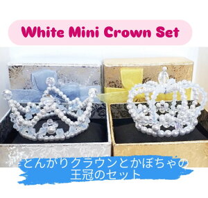 2F~jTCỸsAƃNẼZbg(ubN) i r[Y nhCh P[LfR[V eBAP[L P[L̑ ̑ fR[VpN