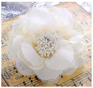 I[KV[ȁRT[WKN  ANZT[   wbhhX wAANZT[ tH[}  \ sAm 킢   w  v[g