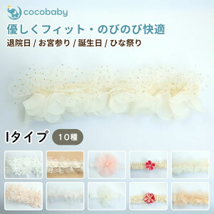 xr[ wAoh  wbhhX ܎O xr[hX Zj[hX wAANZ 1 a V މ@  100 {Q cocobaby