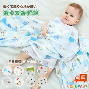  މ@  K[[ 2d K[[ Ԃ xr[ V oYj 110x110 XRbg  I[V[Y t H ~ uPbg | cocobaby