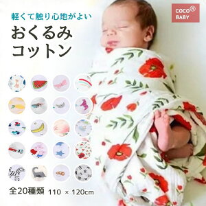  K[[ މ@ ėp V ݃^I xr[ 2d mg[ X j̎q ̎q oX^I  K[[Pbg uPbg oYj ۈ牀 QPbg cocobaby