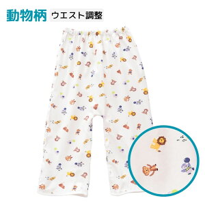 ˂Y{ w ~ Sh ǂ c RȂ p LbY T|[g pc  cocobaby