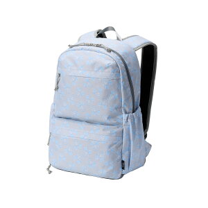 fBYj[ ejX RNV ~bL[ ejX obNpbN DTB015 ~bL[