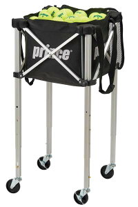 vX prince ejX {[oXPbg OiK@\ bNsLX^[t@{[JS PL065