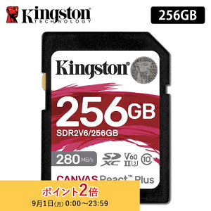 LOXg SDJ[h 256GB Canvas React Plus V60 SDJ[h UHS-II U3 V60 SDR2V6/256GB Kingston SDXC 4K uhs-2 U3 ჌t ~[X  J Ki vXg LZs