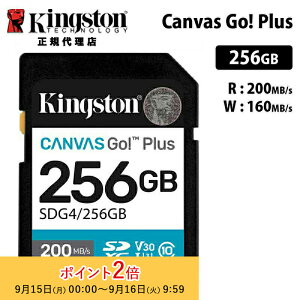 LOXg Canvas Go! Plus 256GB SD J[h UHS-I U3 V30 SDG4/256GB Kingston SDJ[h DSLR  ~[X 4K Ki LZs
