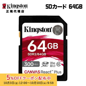 [5%OFFN[| 10܂]LOXg SDJ[h 64GB Canvas React Plus SDJ[h UHS-II U3 V90 SDR2/64GB Kingston SDXC 4K 8K  J uhs V Ki LZs