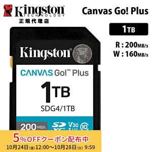 m5%OFFN[| 28܂Łny[J[񂹁zLOXg Canvas Go! Plus 1TB SD J[h UHS-I U3 V30 SDG4/1TB Kingston SDJ[h DSLR  ~[X 4K Ki LZs