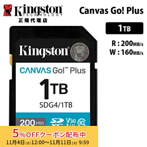 [5%OFFN[| 11܂]y[J[񂹁zLOXg Canvas Go! Plus 1TB SD J[h UHS-I U3 V30 SDG4/1TB Kingston SDJ[h DSLR  ~[X 4K Ki LZs