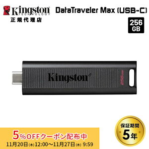 i݌ɌjLOXg DataTraveler Max tbVhCu 256GB XCh USB 3.2 Gen 2 Type-Cڑ DTMAX/256GB kingston ps5 ssd PS5mFς XCh LbvX XeBbN^ |[^u O