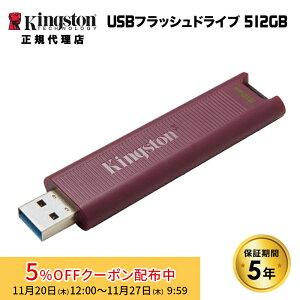 [5%OFFN[| 27܂]i݌ɌjLOXg DataTraveler Max tbVhCu 512GB XCh USB3.2 Gen2 USB-Aڑ DTMAXA/512GB Kingston USB f[^gx[ }bNX Ki L