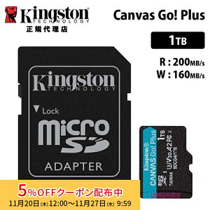 [5%OFFN[| 27܂]LOXg Canvas Go! Plus 1TB microSDJ[h UHS-I U3 V30 A2 SDJ[hA_v^t SDCG4/1TB Kingston microSD }CNSD switch XCb` jeh[XCb` h[ fWJ L