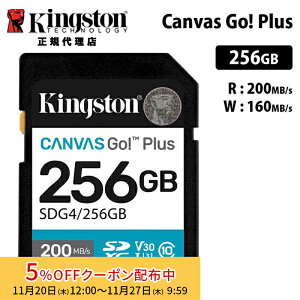 [5%OFFN[| 27܂]LOXg Canvas Go! Plus 256GB SD J[h UHS-I U3 V30 SDG4/256GB Kingston SDJ[h DSLR  ~[X 4K Ki LZs