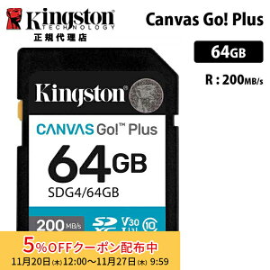 [5%OFFN[| 27܂]LOXg Canvas Go! Plus 64GB SD J[h UHS-I U3 V30 SDG4/64GB Kingston SDJ[h DSLR  ~[X 4K Ki LZs
