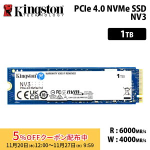 [5%OFFN[| 27܂]LOXg NV3 PCIe 4.0 x4 NVMe SSD 1TB M.2 2280 SNV3S/1000G kingston  Gen4 3D NAND ^SSD Ki LZs