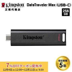 i݌ɌjLOXg DataTraveler Max tbVhCu 256GB XCh USB 3.2 Gen 2 Type-Cڑ DTMAX/256GB kingston ps5 ssd PS5mFς XCh LbvX XeBbN^ |[^u O