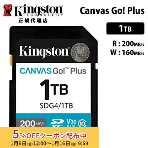 �y���[�J�[���񂹁z�L���O�X�g�� Canvas Go! Plus 1TB SD �������J�[�h UHS-I U3 V30 SDG4/1TB Kingston SD�J�[�h DSLR ��� �~���[���X 4K �������K�i �L�����Z���s��