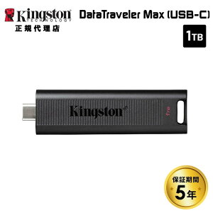 i݌ɌjLOXg DataTraveler Max tbVhCu 1T XCh USB 3.2 Gen 2 Type-Cڑ DTMAX/1TB kingston PS5mFς XCh LbvX XeBbN^ |[^u V 