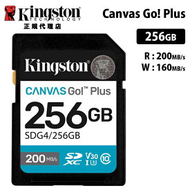 キングストン Canvas Go! Plus 256GB SD メモリカード UHS-I U3 V30 SDG4/256GB Kingston SDカード DSLR 一眼 ミラーレス 4K 国内正規品 キャンセル不可