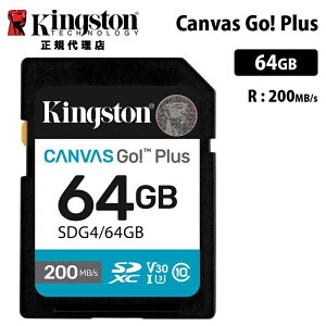 LOXg Canvas Go! Plus 64GB SD J[h UHS-I U3 V30 SDG4/64GB Kingston SDJ[h DSLR  ~[X 4K Ki LZs
