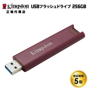 i݌ɌjLOXg DataTraveler Max tbVhCu 256GB XCh USB3.2 Gen2 USB-A DTMAXA/256GB Kingston USB f[^gx[ }bNX Ki LZs