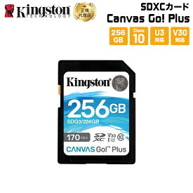 キングストン SDXCカード 256GB Canvas Go!Plus Class 10 U3 V30 SDG3/256GB Kingston SDカード 新生活 国内正規品 キャンセル不可