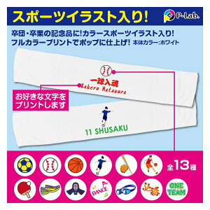 yZ[ΉOKz  ^I IWi^I 1 쐬  X|[c^I O oXP TbJ[ 싅  bZ[W^I v[g 110cm×20cm 100 c ޒc 