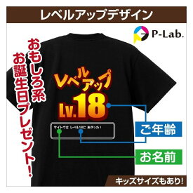 名入れ Tシャツ 誕生日 大人 プレゼント 作成 オリジナル ドラクエ風 家族 お揃い 秋物 レベルアップ 1枚からOK 本体色ブラック 綿100％