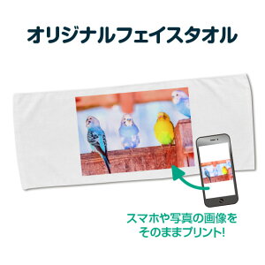 IWi^I 1 ʐ^ ybg ʐ^ v[g  X|[c^I vg ΘJӂ̓ 쐬 100 zCg