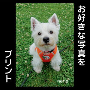 yDȎʐ^vgzKl@ijЖʃvgBKlNXA}CNt@Co[NXAY@AM@AX}z@AAMtgAv[gALOiAyb