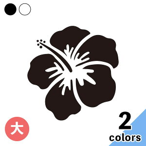 nCrXJX  XebJ[ 2 ؂蕶 JbeBO  oCN   T[tB nC hawaii [J[fJ[ EH[XebJ[ L[obO uh v^