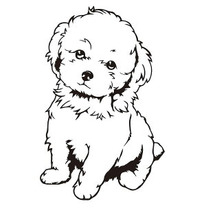 gCv[h 1 ؂蕶  XebJ[ JbeBO  ^Cj[v[h eB[Jbvv[h  oCN 킢 Vv  IWi v^bN y[֑