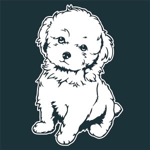 gCv[h 1 ؂蕶  XebJ[ JbeBO  ^Cj[v[h eB[Jbvv[h  oCN 킢 Vv  IWi v^bN y[֑