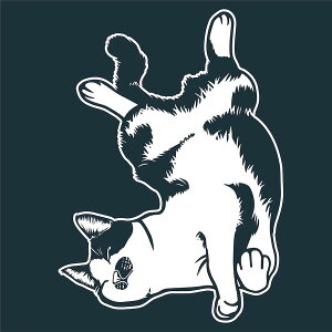 L 1 ؂蕶  XebJ[ JbeBO ˂ L  oCN 킢 Vv  IWi v^bN y[֑z