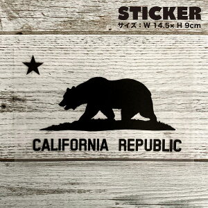 CALIFORNIA REPUBLIC  M 2g XebJ[   uh  v^bN ؂蕶 EH[XebJ[ oCN C F  T[tB JtHjA surf sup nycy[