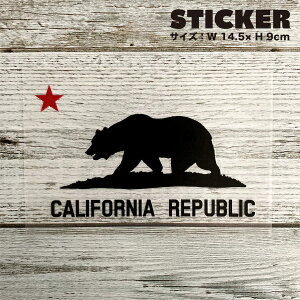 CALIFORNIA REPUBLIC  ԐM 2g XebJ[   uh  v^bN ؂蕶 EH[XebJ[ oCN C F  T[tB JtHjA surf sup nycy[