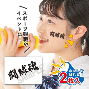  TCY 2 œ\ ^gD[V[  V[ {\ tFCXV[ tFCXyCg 싅 Or[ TbJ[ { tFX Cxg X|[c TC Wp 