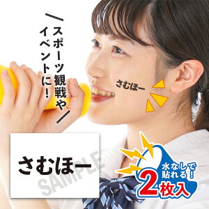 ނف[ TCY 2 œ\ ^gD[V[  V[ {\ tFCXV[ tFCXyCg 싅 { tFX Cxg X|[c TC Wp ϐ O  p