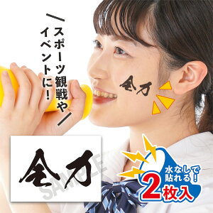 S TCY 2 œ\ ^gD[V[  V[ {\ tFCXV[ tFCXyCg 싅 Or[ TbJ[ { tFX Cxg X|[c TC Wp 