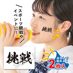  TCY 2 œ\ ^gD[V[  V[ {\ tFCXV[ tFCXyCg 싅 Or[ TbJ[ { tFX Cxg X|[c TC Wp 