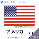 アメリカ 国旗 水無しで貼れる タトゥーシール シール 応援 フェイスシール フェイスペイント スポーツ サッカー ラグビー テニス サーフィン 柔道 野球 バレー バスケ 水泳 フェス イベント 観戦 パーティー 祭 国旗シール 顔 日の丸 世界 ハロウィン 【メール便送料無料】