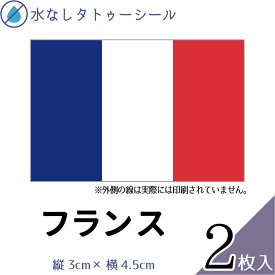 フランス 国旗 水無しで貼れる タトゥーシール シール 応援 フェイスシール フェイスペイント スポーツ サッカー ラグビー テニス サーフィン 柔道 野球 バレー バスケ 水泳 フェス イベント 観戦 パーティー 祭 国旗シール 顔 日の丸 世界 ハロウィン 【メール便送料無料】