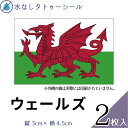 ウェールズ 国旗 水無しで貼れる タトゥーシール シール 応援 フェイスシール フェイスペイント スポーツ サッカー ラグビー テニス サーフィン 柔道 野球 バレー バスケ 水泳 体操 フェス イベント 観戦 野外 パーティー 祭 国旗シール 顔 ハロウィン 【メール便送料無料】