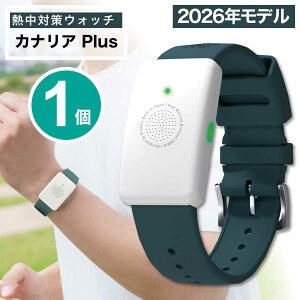 カナリアplus 2026」の人気商品一覧・価格比較 - 価格.com